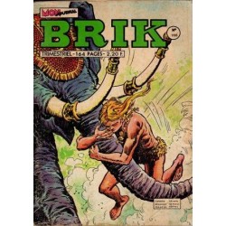 Brik - (1) - N°166 - Trimestriel - La Princesse maudite